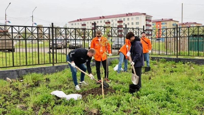 В Шахтерске сделали аллею, посвященную ветеранам угольной промышленности