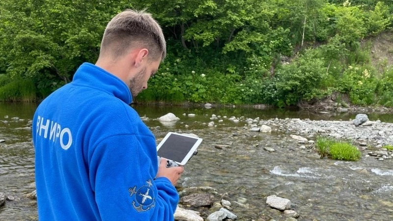 Рыбаки Дальнего Востока выловили больше 200 тысяч тонн лосося