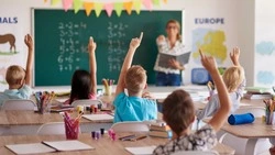 Новые школы и их развитие: как на Сахалине модернизировали систему образования