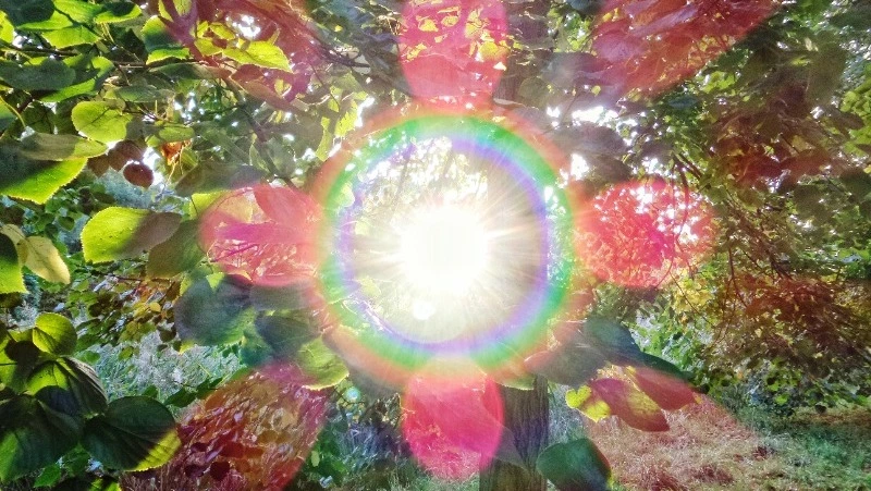 День летнего солнцестояния 2025: когда будет, приметы и традиции