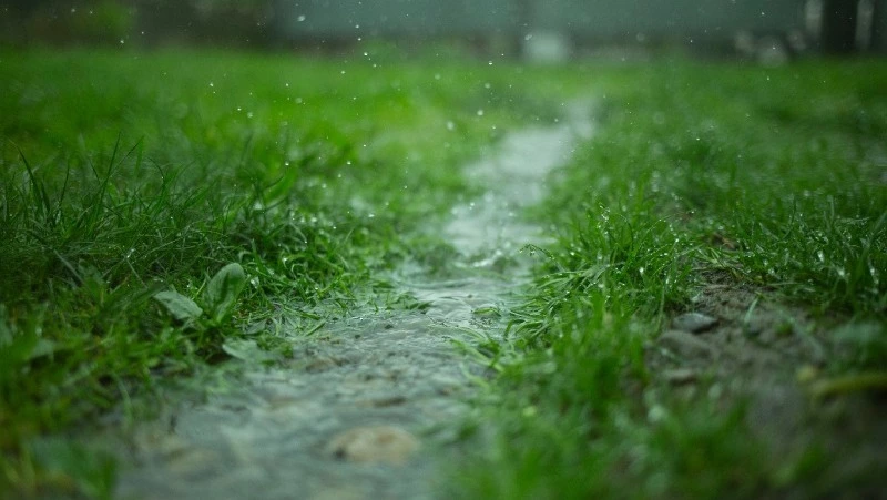 Небольшой дождь и до +28 градусов ждет жителей Сахалина и Курил 15 августа