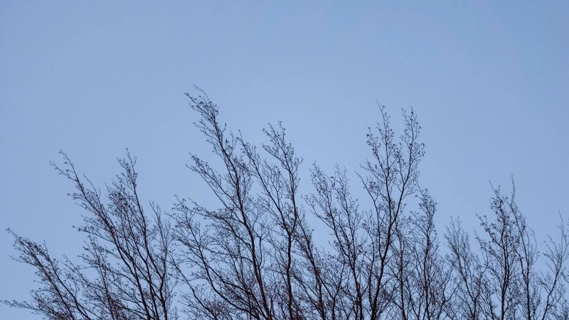 Порывистый ветер на островах спрогнозировали сахалинские синоптики 4 апреля