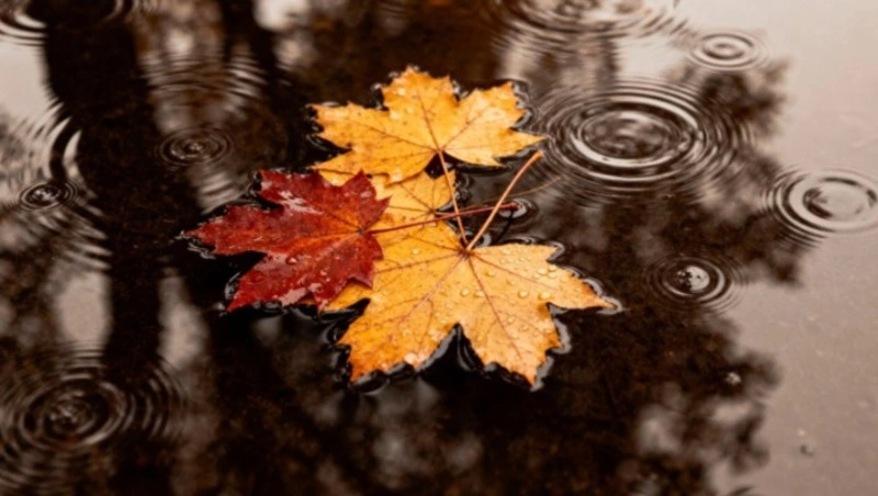 Небольшой снег и до +2 градусов ждет жителей Южно-Сахалинска 2 ноября