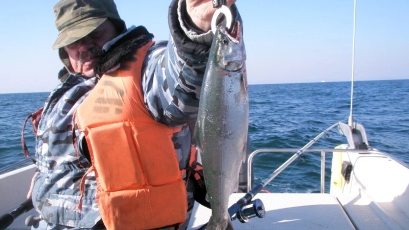 Первый улов лососевых взяли на Северных Курилах