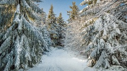 Погода в Южно-Сахалинске 8 февраля: -9 градусов днем и легкий снег