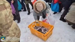 Жители Северо-Курильска получил почти полтонны бесплатной рыбы