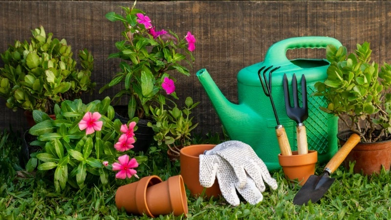 Почти каждый десятый россиянин готов потратить более 100 тысяч рублей на подготовку к дачному сезону