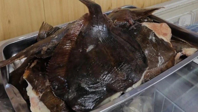 Доступную рыбу привезли в четыре района Сахалина 16 ноября