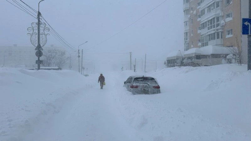 Снег и слабая метель ожидают жителей Сахалинской области днем 26 января