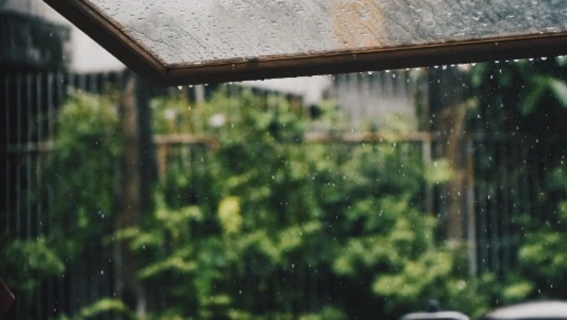 Погода в августе будет дождливой и холодной на Сахалине