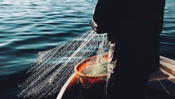 Браконьеры сетями и сачками незаконно вылавливают сотни рыб на Сахалине 