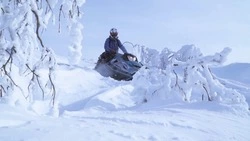 Экскурсии по зимнему Сахалину: снегоходы, собачьи упряжки, аквапарк и даже театр!