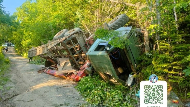 Водитель КамАЗа наехал на дерево по дороге на мыс Великан на Сахалине