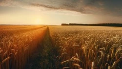 Приметы обо всем на 20 июня 2023 года: что можно и нельзя делать в этот день