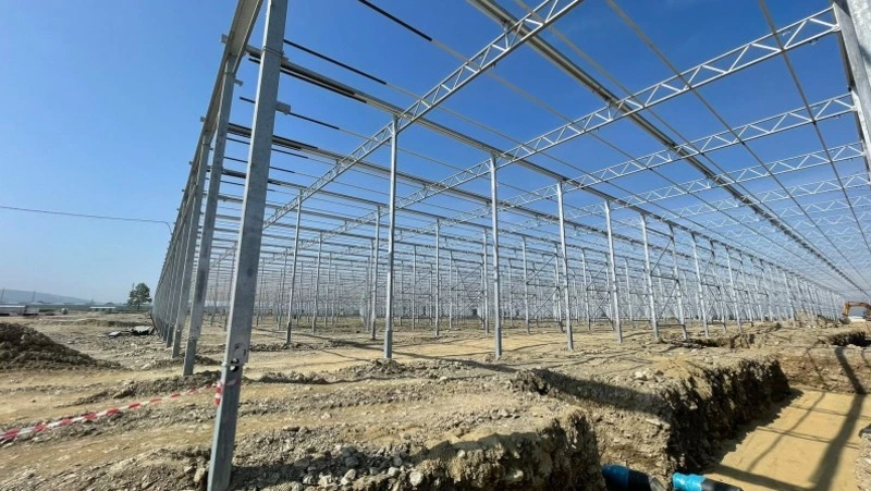 Трутнев узнал, когда в совхозе «Тепличный» созреет первый огурец в новой теплице