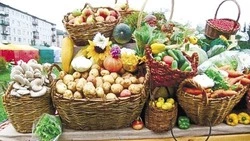 К сведению: «Осенние дары», «Доступность услуг для каждого», «Спорт доступный каждому»