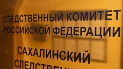 СК начал проверку после падения ребенка в двухметровую яму в Невельске