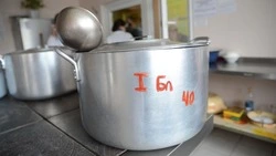 Дети и родители Сахалина оценят школьное питание в анкете проекта «Демография»