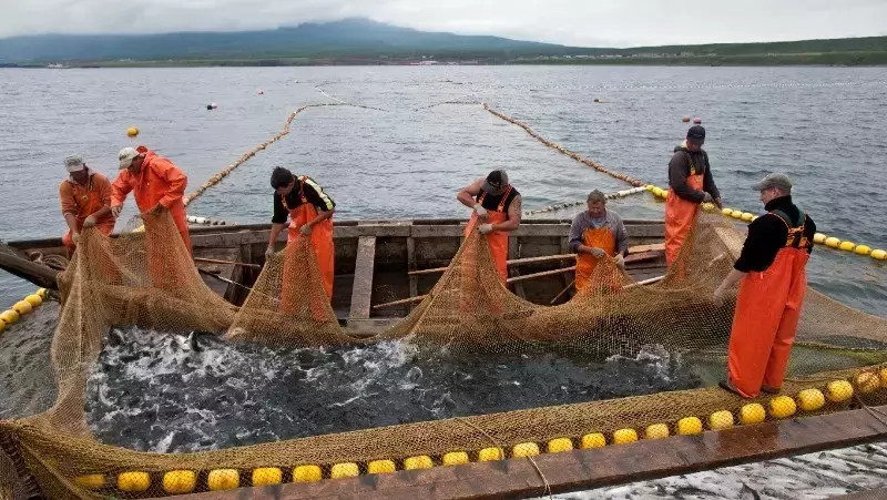 В Южно-Сахалинске обсудят Стратегию лососевой путины — 2026