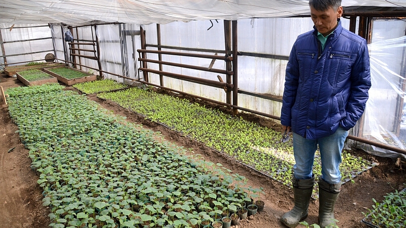 Сахалинский фермер планирует выращивать фрукты