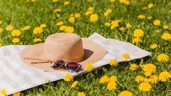 Теплую погоду в июле пообещали жителям Сахалина и Курил