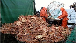 Сахалинские компании в следующем году получат субсидии на строительство судов для ловли краба