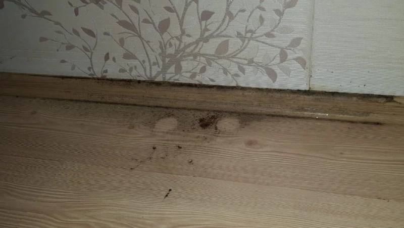 Квартиру с дорогим ремонтом затопило после мощного дождя в Южно-Сахалинске