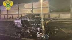 Криптобизнесмен Алексей Долгих погиб в ДТП в Москве