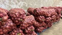 Сахалинский кооператив «Пограничный» зарегистрировал собственный товарный знак