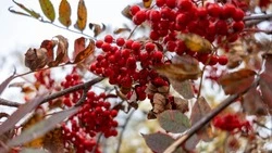 В Южно-Сахалинске будет тепло и без осадков 21 ноября 