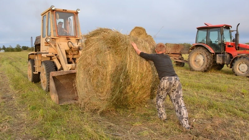 «Сегодня важно оказать поддержку людям». На Сахалине помогут малому бизнесу и КФХ