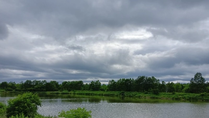 Сильный дождь и подъем воды в реках спрогнозировали в 9 районах Сахалина на 2 августа