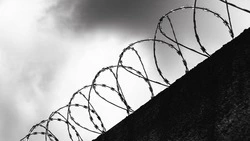 В Госдуму внесли законопроект об объявлении амнистии для женщин ко Дню матери 