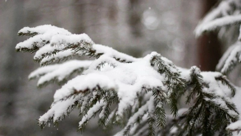 В первый день 2026 года в Южно-Сахалинске выпадет много снега