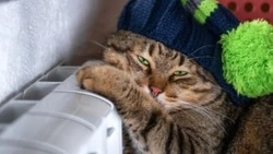 Школа и четыре улицы Южно-Сахалинска проведут 10 декабря без тепла и горячей воды