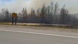 Сухая трава едва не стала причиной крупного пожара на севере Сахалина
