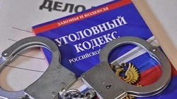 Сотрудница клининга обчистила своего клиента, но попалась «видеоняне» в Южно-Сахалинске