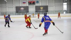Чемпионат по хоккею с мячом на Сахалине посвятили Дню Победы