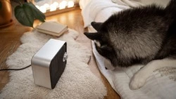 Часть Южно-Сахалинска проведет 27 февраля без отопления