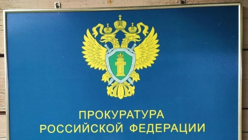 Житель Курил собрал в лесу 3 куста марихуаны и нарвался на уголовное дело