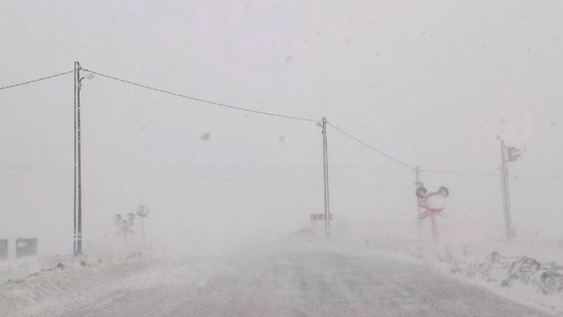 Рейсы 12 межмуниципальных автобусов на Сахалине отменили из-за метели 