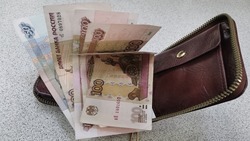 Полицейские заподозрили жителя Шахтерска в краже денег у бывшего работодателя