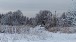 Дождь, снег и тучи: прогноз погоды в Сахалинской области на субботу, 9 апреля