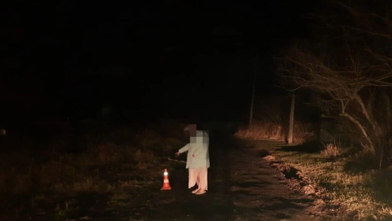 Пьяный водитель Isuzu без прав сбил девушку в Углегорске