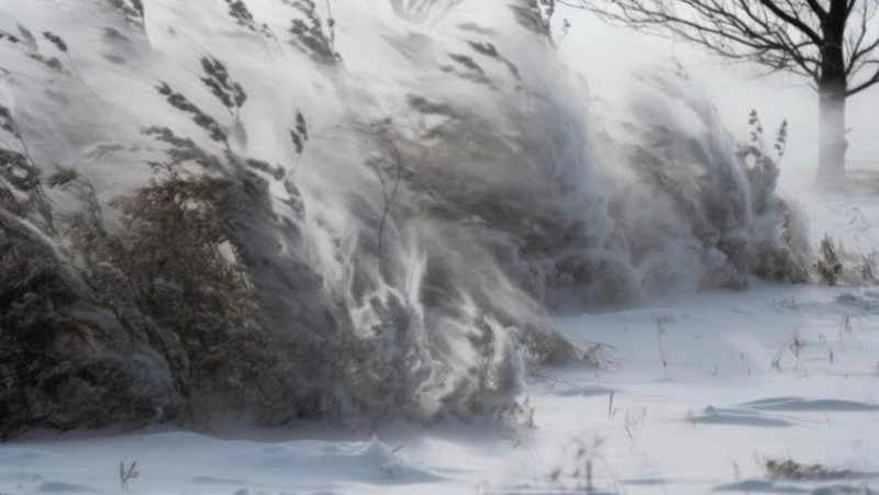 Ураган на Курилах и небольшой снег на Сахалине прогнозируют синоптики 8 ноября