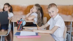 Подымова: педагогам необходимо менять структуру уроков из-за клипового мышления школьников