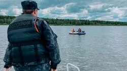 На Сахалине за неделю у браконьеров изъяли более 200 кг рыбы