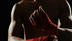 Мировая борьба на Сахалине: индийский атлет Суджит Суджитов завоевал чемпионский пояс ПБЛ