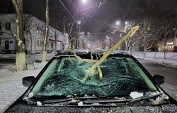 На Сахалине во время метели ветка дерева пробила лобовое стекло автомобиля 