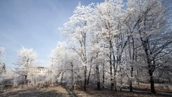 Снег и гололед прогнозируют на Сахалине и Курилах 8 апреля
